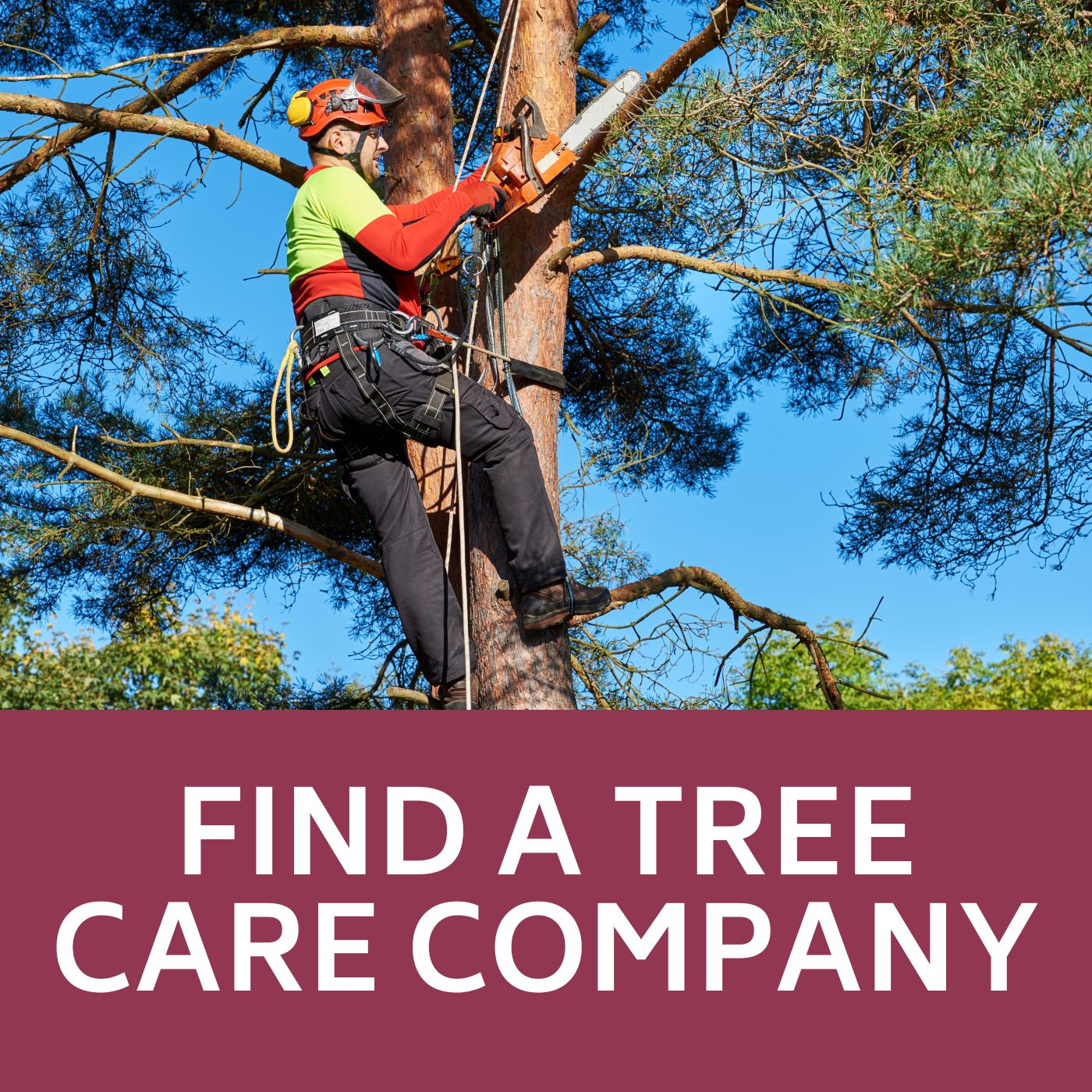 Fire a tree care company icon