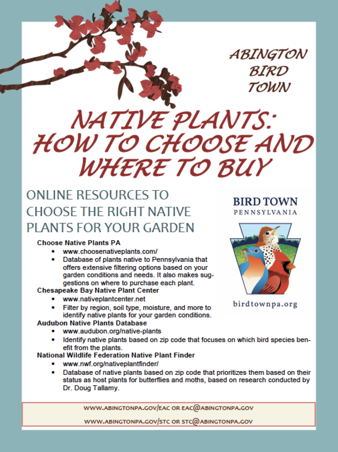 Native Plants: How to Choose and Where to Buy Flyer