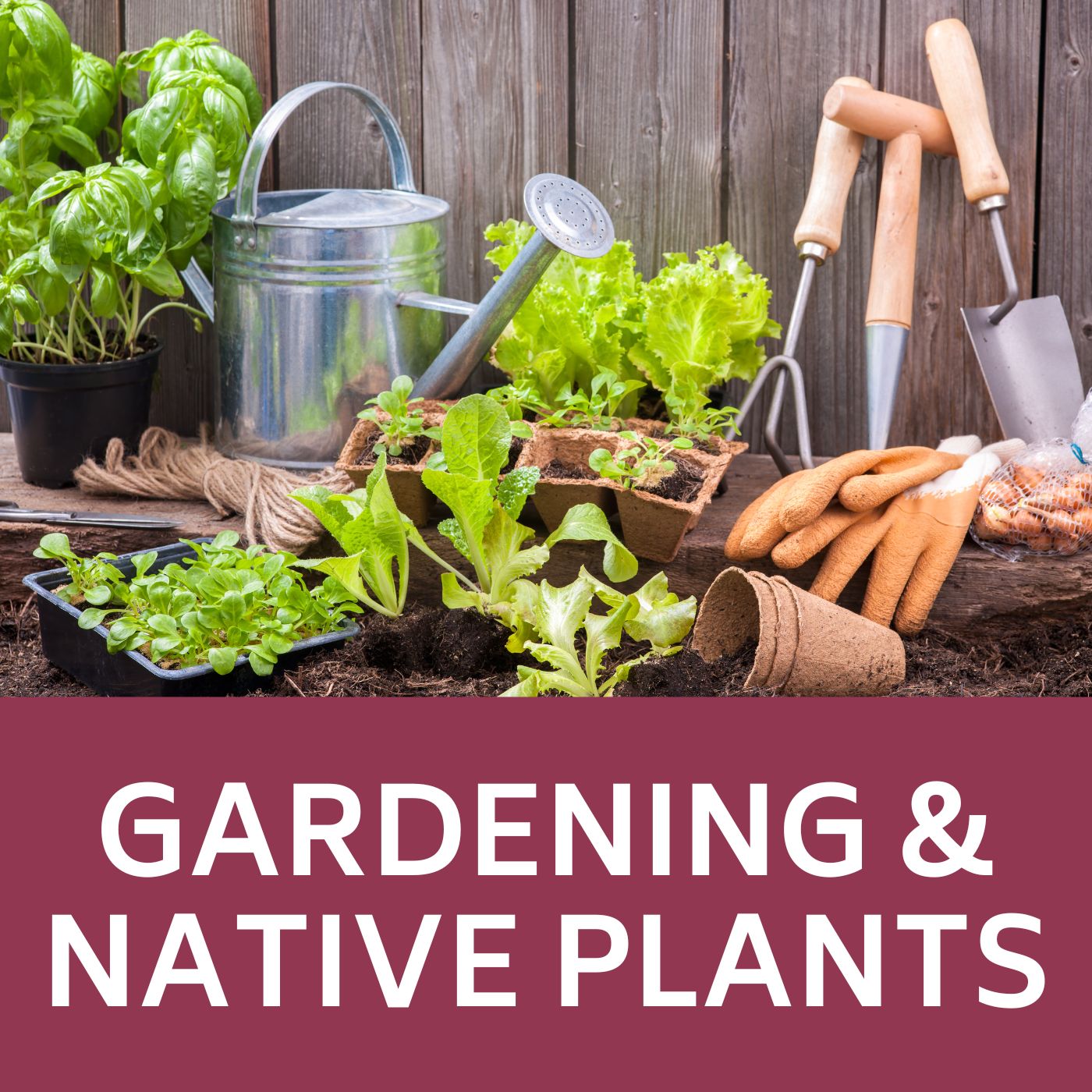 Gardening materials and plants that redirects to information about Gardening and Native Plants.