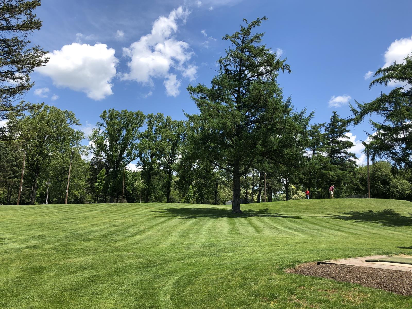 ALverthorpe Par 5 with golfers