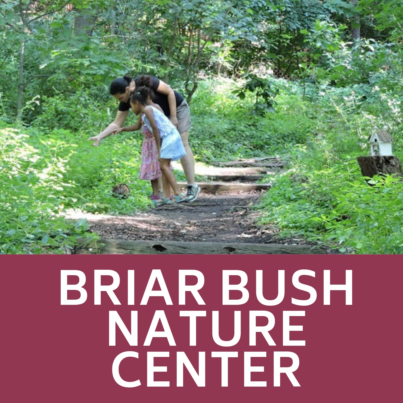 Briar Bush Nature Center Icon that links to Briar Bush Nature Center webpage