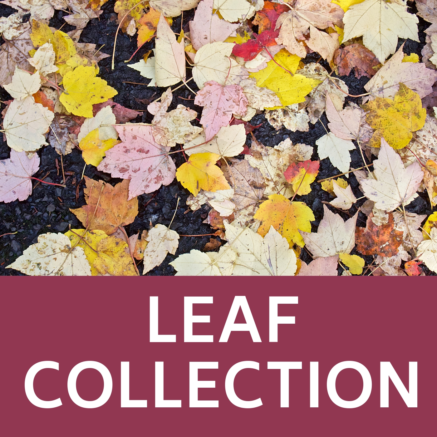 Leaf Collection Icon that links to the webpage with information about leaf collection