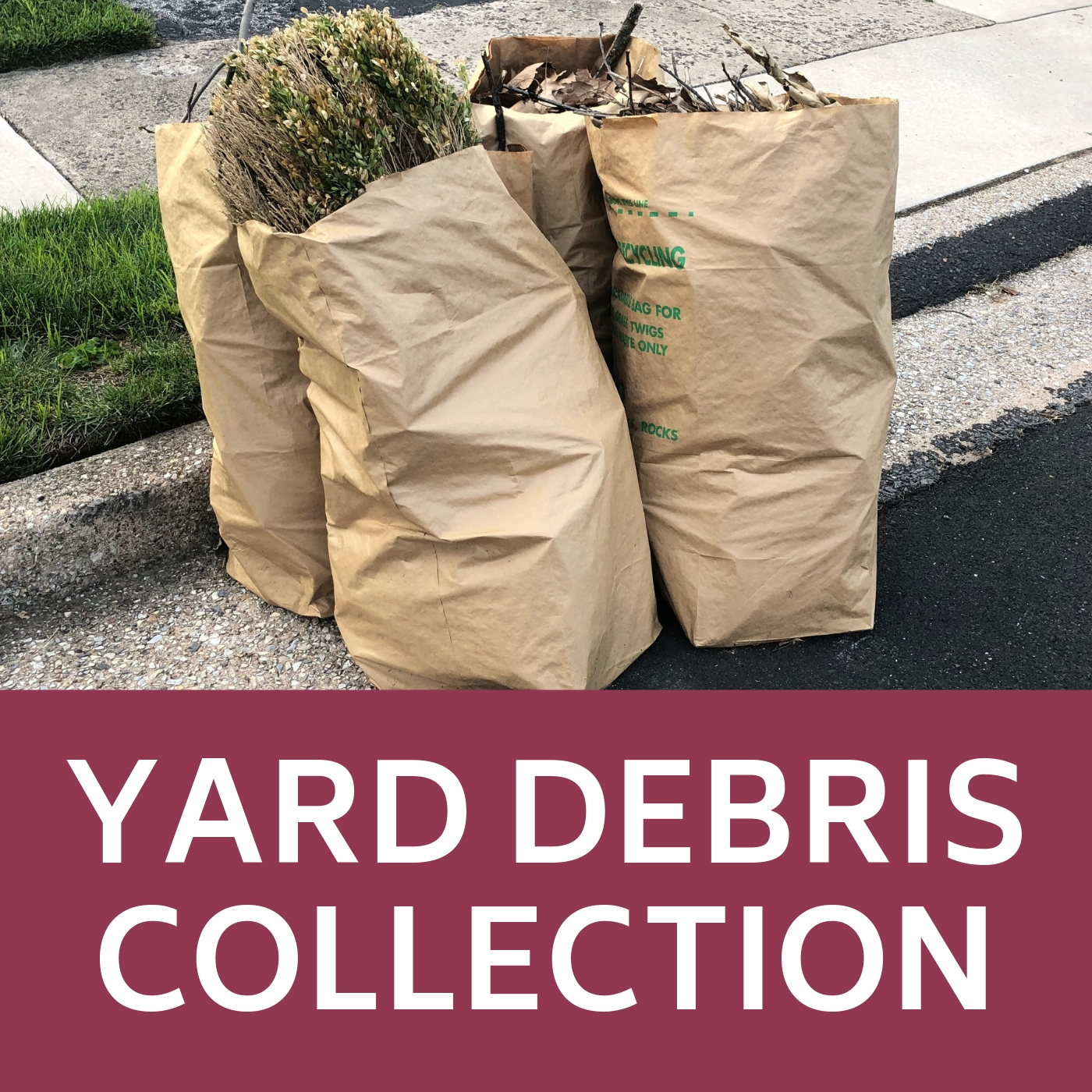 Yard Debris Collection Icon that links to webpage with yard debris information