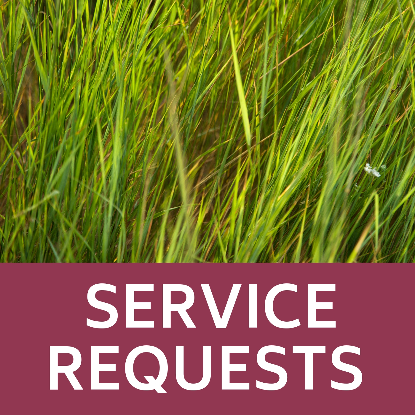 Service Requests Icon that links to the webpage where residents can request a service