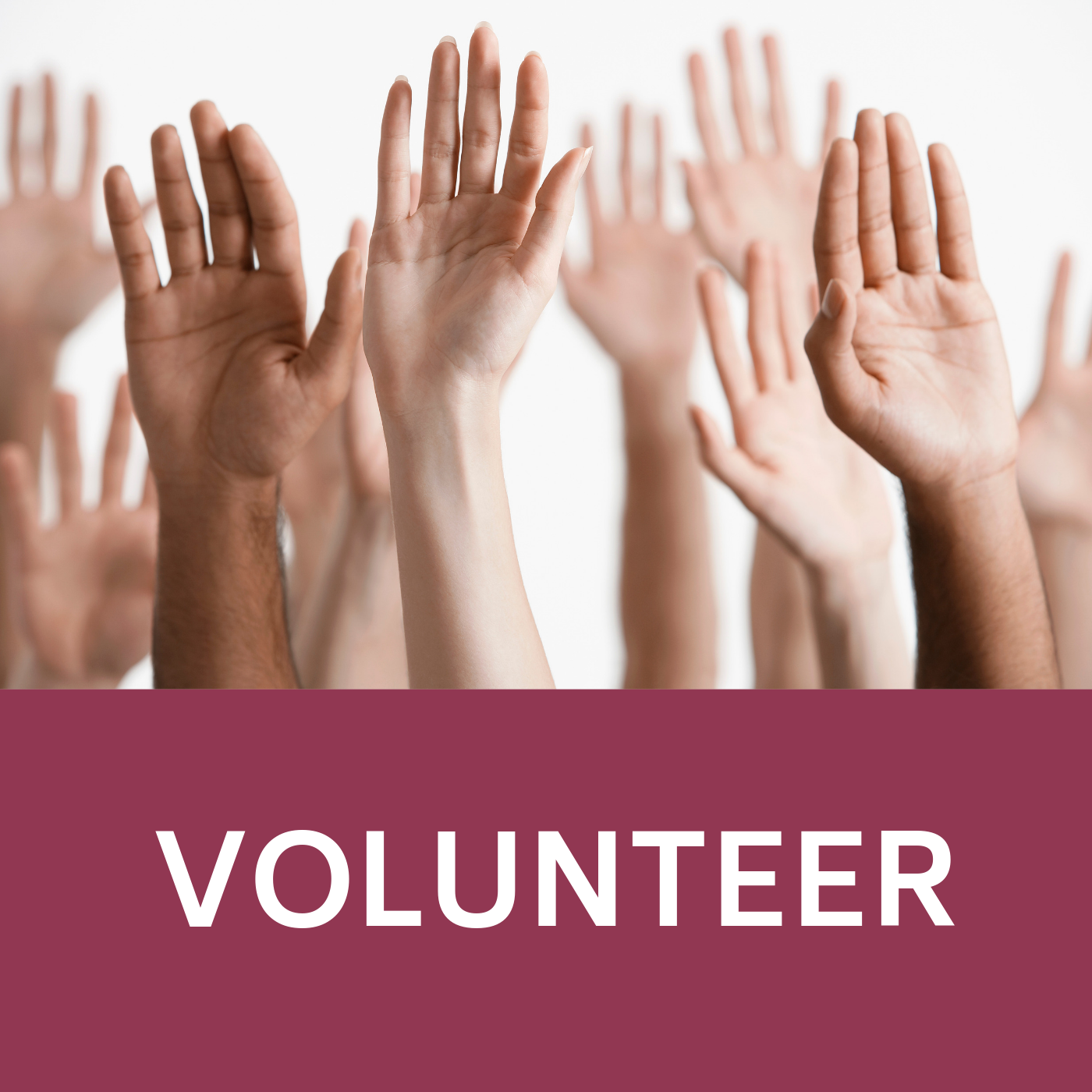 Volunteer Icon that links to the Library website