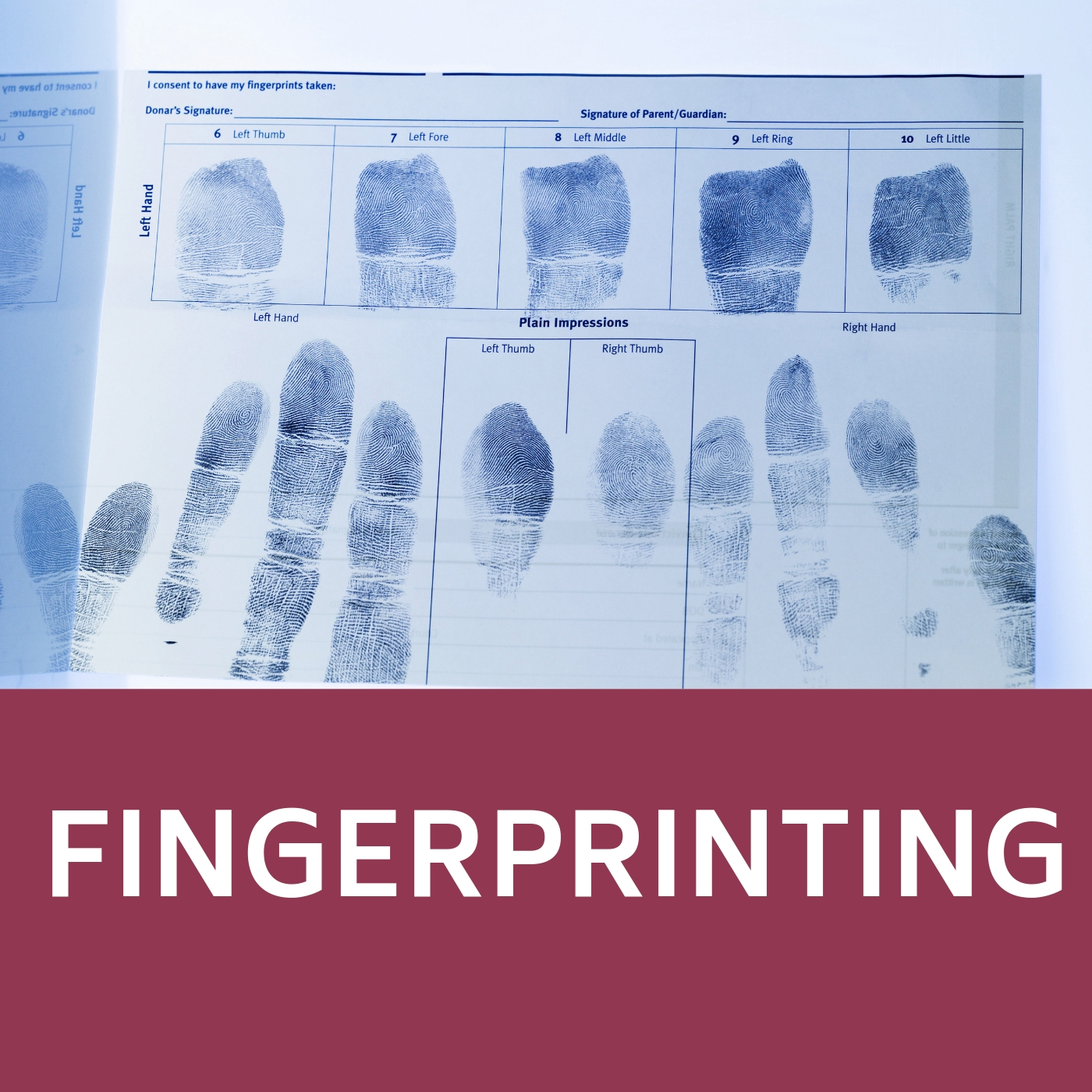 Fingerprinting sheet that links to information about fingerprints.