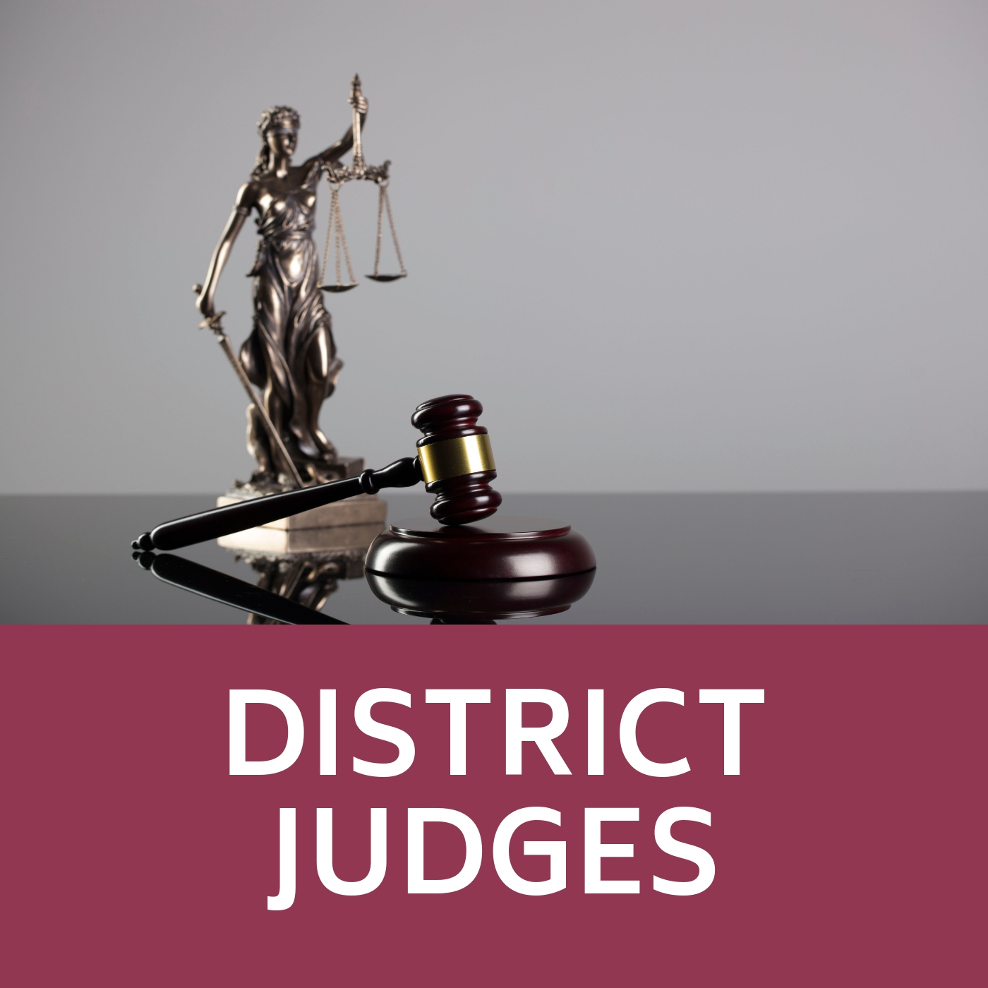 Judge gavel and block and that links to information about District Judges.