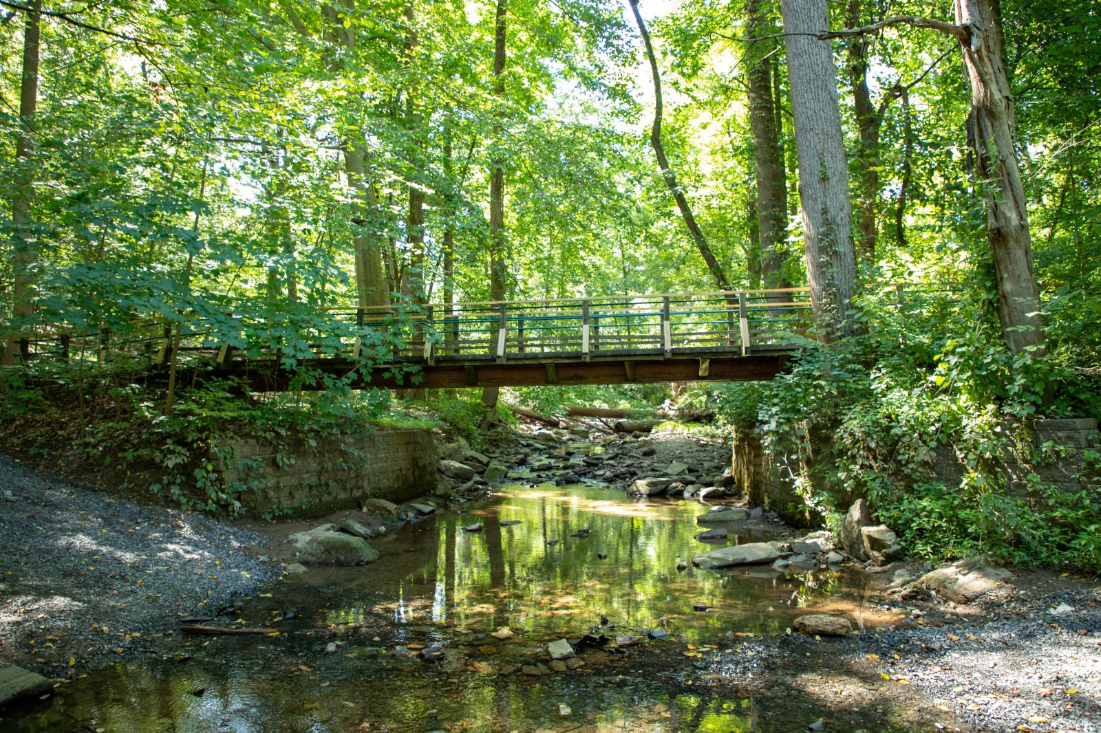 Lorimer Park bridge over creek