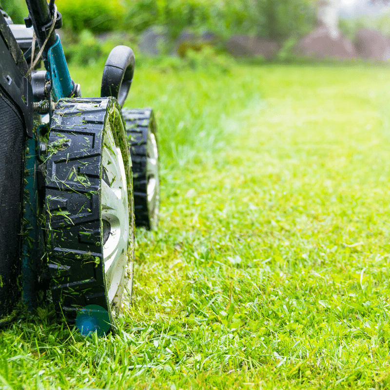 Lawn mower cutting grass