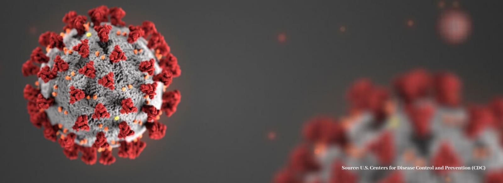 Coronavirus Banner from U.S. Centers for Disease Control