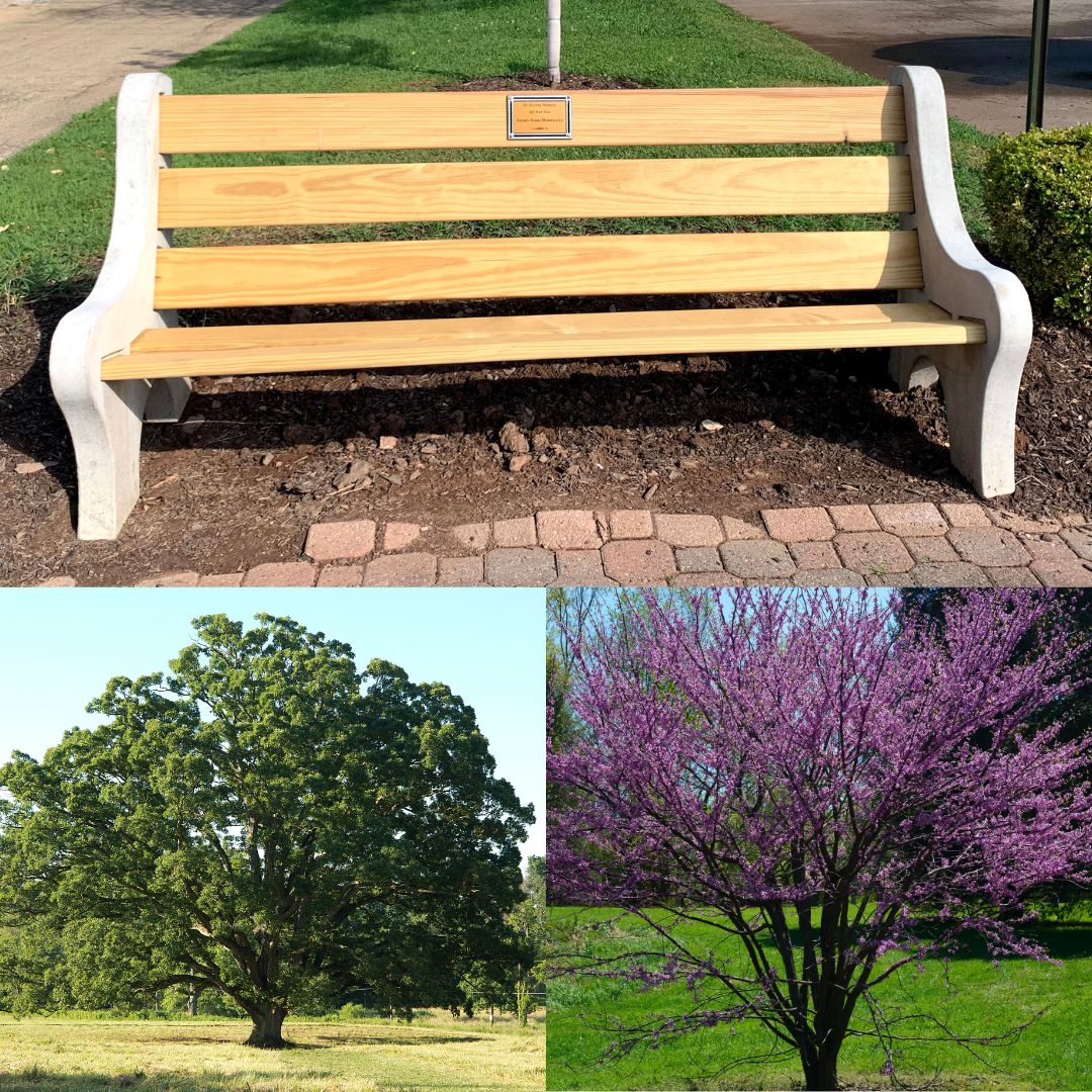 bench trees memorial donation program