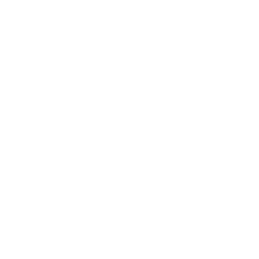 parking permit icon